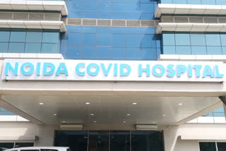 new corona infected cases in 24 hours in Noida