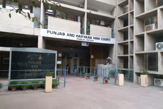 Punjab haryana high court chandigarh