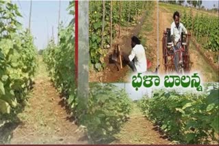 Multi-crop farming makes a physically challenged man successful