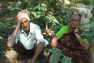 Elderly Chikmagalur coupl