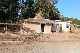 Due to fear of elephants, people encamped on the roof of anganwadi in Balrampur