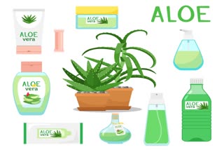 Benefits of aloe vera gel