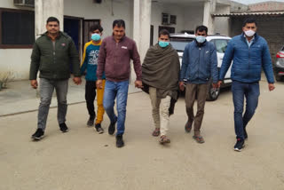 yamunanagar state animal thieves arrest