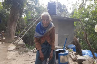 130-year-old elderly woman voted in Bilaspur