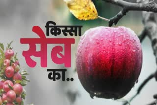 किस्सा सेब का, Apple anecdote