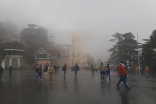 shimla