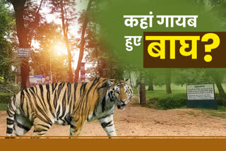 searching of tigers in palamu tiger reserve