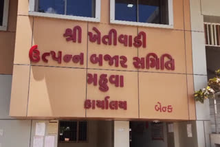 મહુવા માર્કેટિંગ યાર્ડ