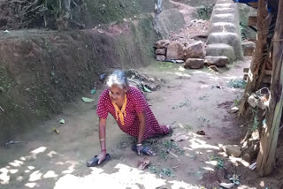 കർഷക പുരസ്കാര ജയതാവ് കുംഭാമ്മ  വയനാട്ടിലെ കുംഭാമ്മ  വെള്ളമുണ്ട സ്വദേശി കുംഭാമ്മ  Kerala government's farmers' award winner kumbamma  award winner kumbamma from wayanad