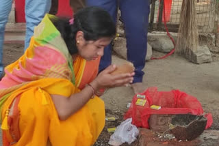 MLA Mamta Devi prayed in pahari temple in giridih