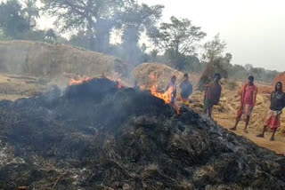 burning-paddy-due-to-fire-in-dumka