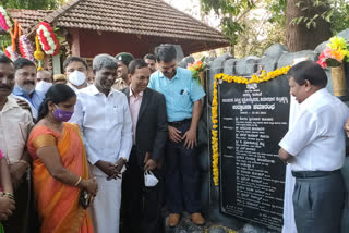 Saalu Marada Thimmakka Tree Park