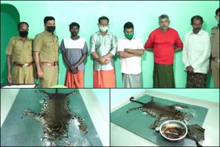 Idukki  cooking leopard in Idukki  Five arrested for cooking leopard  ഇടുക്കി  പുള്ളിപ്പുലിയെ പാകം ചെയ്‌ത് കഴിച്ചു  പുള്ളിപ്പുലി