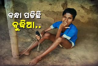 ଅଗଣା ଖୁଣ୍ଟରେ ବନ୍ଧା ପଡିଛି ବୁଦ୍ଧିଆର ଭାଗ୍ୟଡୋରୀ, ଚିକିତ୍ସା ପାଇଁ ଅର୍ଥ ସାଜିଛି ବାଧକ