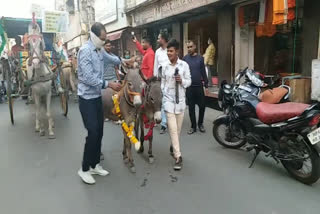 Youth Congress's unique protest