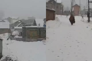 kashmir Valley Receives Fresh Snowfall on saturday
