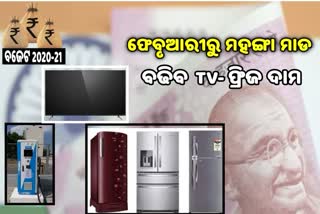 କେନ୍ଦ୍ର ବଜେଟ 2021: ମହଙ୍ଗା ହେବ ଡର୍ଜନରୁ ଅଧିକ ଆଇଟମ