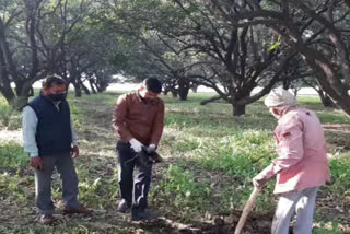 मृत कौवे को गड्ढा खोदकर दफनाया.