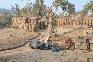 Brick kilns on government land