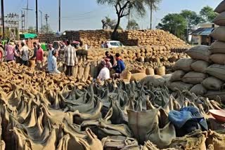 paddy purchase in chhattisgarh