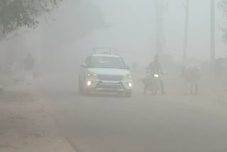 घने कोहरे में धीमी पड़ी वाहनों की रफ्तार, Speed ​​of vehicles slowed in fog