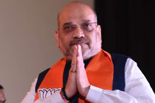 "Only BJP Can....": Amit Shah Says Bodoland Win A Trailer For Assam Polls