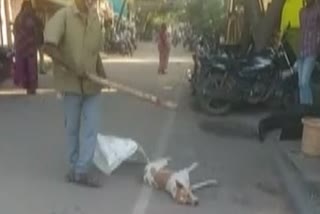 man-beaten-dog-to-death