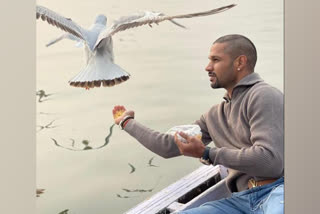 Dhawan feeds birds amid bird flu, Varanasi DM says action to be taken against boatman