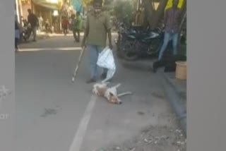 man beaten dog to death in Madurai