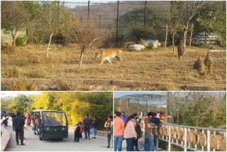 tourist place in rajasthan,  tourist place in jaipur