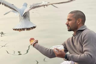 shikhar dhawan fed grain to birds in varanas