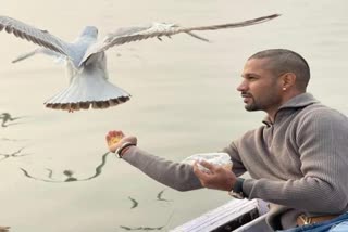 Shikhar Dhawan fed the birds