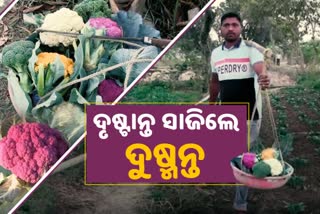 ଜୈବିକ ପଦ୍ଧତିରେ ରଙ୍ଗବେରଙ୍ଗ କୋବି ଚାଷ କରି ଚର୍ଚ୍ଚାରେ ଦୁଷ୍ମନ୍ତ ପାତ୍ର