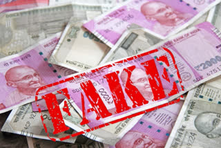 indore news  another accused arrested from burhanpur  Fake note case Indore  Fake note case  STF Team  Accused arrested with fake notes of one lakh  മധ്യപ്രദേശില്‍ വ്യാജകറന്‍സിയുമായി ഒരാള്‍ കൂടി പിടിയില്‍  വ്യാജകറന്‍സി  ഒരാള്‍ കൂടി പിടിയില്‍  മധ്യപ്രദേശ്  ബുഹാരൻപൂര്‍  വ്യാജ കറന്‍സി   Suggested Mapping : bharat Assigner Note :