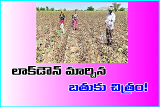 school correspondent turned into farmer