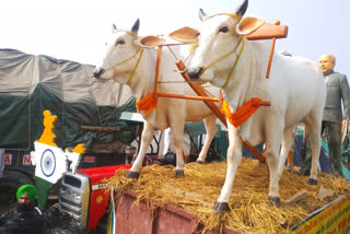 farmers are preparing for tractor rally at singhu border