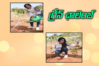 Actress Monal gajjar participated in green india challenge