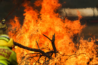 Bushfire danger elevated as heatwave continues in Australia