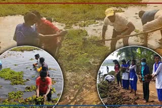 childrens cleaned tandula river
