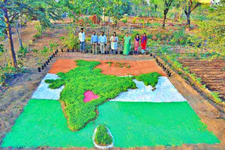 Green India map with vegetables at Jadcherla college in mahabubnagar district