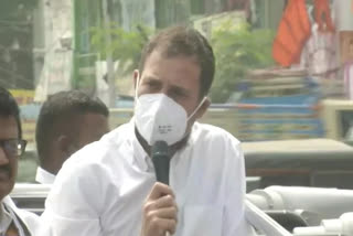 Violence is not the solution to any problem If anyone gets hurt the damage will happen to our country rahul gandhi