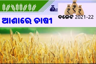 ବଜେଟ 2021: 19 ଲକ୍ଷକୁ ବଢିପାରେ କୃଷି ଋଣ ଟାର୍ଗେଟ