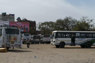 Rajasthan Hindi latest news,  Reduction in the number of buses of Rajasthan Roadways