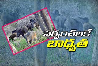 telangana government give authority to sarpunches for wild pigs shooting