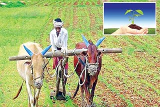 Agri experts on Budget