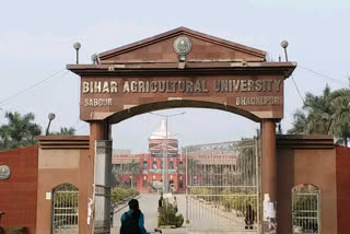 Sabour Agricultural University