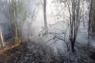 fire in chittaugarh nursery land,
