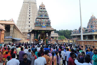 special worship in tiruvannamalai annamalaiyar temple