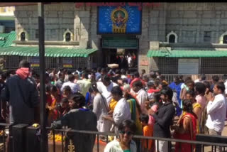 Increasing number of tourists in Chamundi Hill