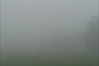 fog affects life in kotdwar